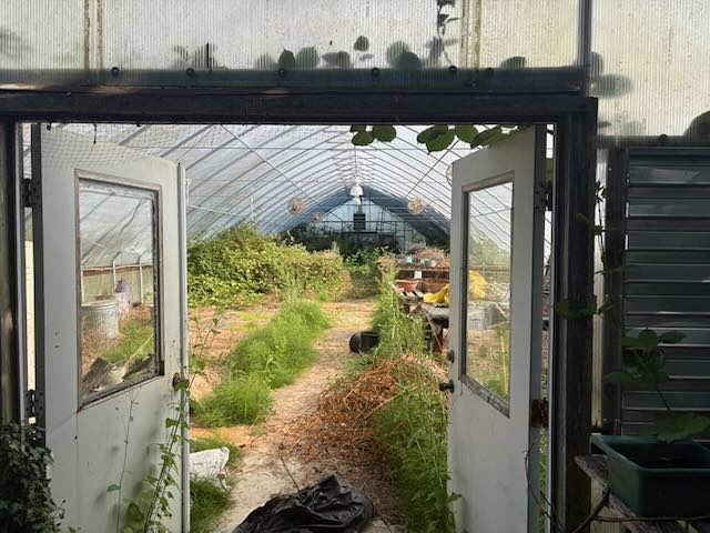 Interior of the Greenhouse